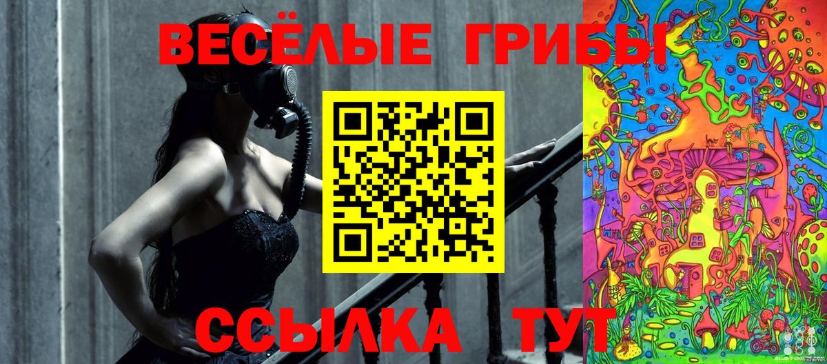 Галлюциногенные грибы GOLDEN TEACHER  Псилоцибиновые грибы прущие грибы  Зеленокумск  Вход с VPN 